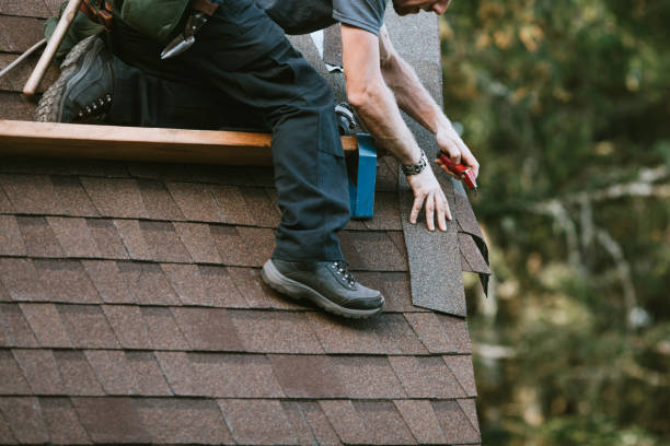 Professional Roofing in Winter Garden, FL